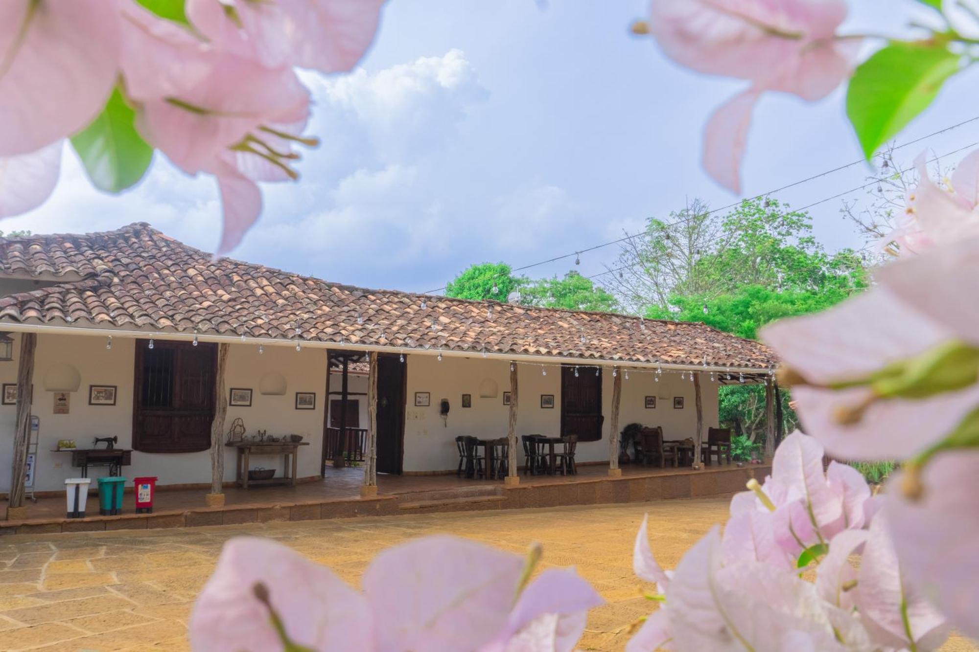 בריצ'ארה Hotel Hacienda Macedonia מראה חיצוני תמונה